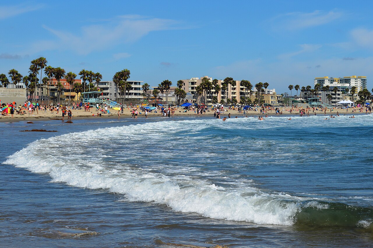 Venice Beach 海岸、步道与棕榈树